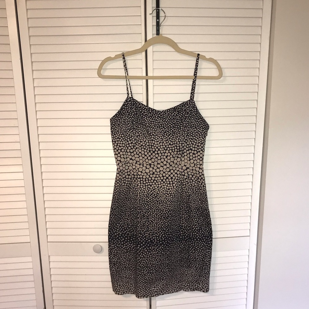 Navy and white dress